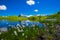 Landscape Scene from First to Grindelwald, Bernese Oberland, Switzerland