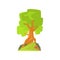 Landscape scene with forest or park tree. Deciduous tree with green foliage. Hand drawn woodland nature design element