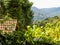 Landscape scene. Green mountains, lush vegetation and detail of a red roof