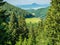 Landscape scenery in the Bucegi Mountains, part of the Carpathian Mountains. Pine tree forest in the mountains