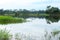 A landscape scenery with a lot of trees, a lake, and a blue sky