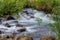 Landscape scenery of river stream at Mzima springs tsavo west national park Kenya