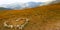 Landscape scenery. Stone heart on the meadow with view of the Low Tatras Nizke Tatry on the tourist path to the Chopok mountain