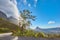 Landscape of a scenic road on a mountainside near an uncultivated woodland on Table Mountain, Cape Town. Forest of tall