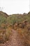 Landscape scenic view of Hieroglyphic  Canyon, Superstition Mountains, Hohokam Petroglyphs, Gold Canyon, Arizona, United States