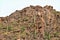 Landscape scenic view of Hieroglyphic  Canyon, Superstition Mountains, Hohokam Petroglyphs, Gold Canyon, Arizona, United States