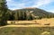 Landscape with Scots pine forests in the Puster valley of Italian Dolomites Alps, South Tyrol, Italy