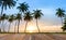 Landscape of sea coast, Coconut palms on tropical beach at sunset background