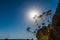 Landscape at the sea in Greece, Thassos island