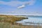 Landscape of sea, lake or coast against sky background with clouds and copy space. Swamp with reeds and wild grass