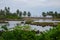 Landscape of the sea surrounded by palm trees and bushes under a cloudy sky in Samoa