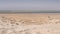 Landscape of Sealine  Sand dunes  in Doha Qatar