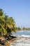 Landscape seascape palm coconut trees Caribbean Sea Big Corn Isl