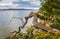 Landscape of seashore in the Pacific rim National Park in Vancouver Island BC, Canada. Beautiful seaside landscape