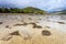 Landscape with seaweed in a river bed