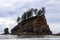 Landscape of Second Beach at Olympic National Park, Washington, USA