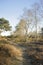 Landscape of a secret and mysterious pathway in the countryside leading to a magical forest where adventure awaits