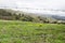 Landscape seen through a barbed wire fence, mountainous meadow in different shades of green