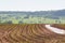 Landscape seen from a highway in Goias.