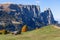 Landscape of Seiser Alm plateau hill and alpine huts with autumn tree