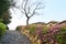 Landscape of Seoul city wall (Waryong Park) in Korea