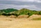 Landscape of a serene field surrounded by rolling hills, beneath a cloudy sky