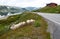 Landscape with sheep, road and mountains, Norway