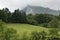 Landscape with sheep under Mount Anboto. Urkiola Natural Park. Bizkaia. Basque Country. Spain