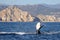 Landscape shot of beautiful whale tail in blue body of water with mountain city in background
