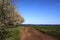 Landscape shot of clouds, grass and mountains in Germany, Vulkaneifel in Rhineland-Palatinate in spring