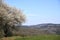 Landscape shot of clouds, grass and mountains in Germany, Vulkaneifel in Rhineland-Palatinate in spring