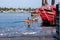 landscape shot of Mangalore harbour with group of fishermen on the boat