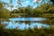 Landscape shot of a pond in the statue garden in the Frederik Meijer Gardens