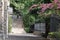 Landscape shot of walkway stairs, green plants, fences at daytime