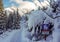 Landscape with a sign warning of the danger of avalanches. Tatry