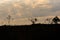 Landscape and silhouette of an evening end in the countryside 01