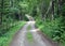 Landscape with a simple country road and a wooden fence along the edge, summer