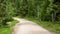 Landscape with a simple country road and a wooden fence along the edge, summer