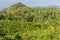 Landscape of Siquijor island, Philippine