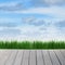 Landscape with sky, grass and wood