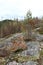 Landscape of slope of Mount Hiidenvuori