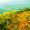 Landscape of a sloping and rural land on the island of Java, Indonesia