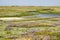 Landscape in the Slufter area of Texel