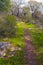 Landscape of small hill with oaks grove Kibbutz Kfar Glikson in HaNadiv valley in northwestern Israel.