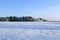 Landscape of snow-covered field and trees are spruce and birch