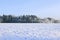 Landscape of snow-covered field and trees are spruce and birch