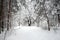 Landscape with snow-covered path on the edge of the forest and frozen river on a cloudy winter dayBeautiful landscape with oaks an