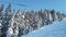 Landscape snow mountain fir trees at winter Dolomites