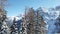 Landscape snow mountain fir trees at winter Dolomites