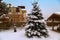 Landscape with snowbanks of white snow and pine trees in country garden.